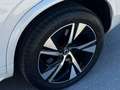 Volvo XC90 2.0 T8 AWD Recharge R-Design Auto Blanco - thumbnail 22