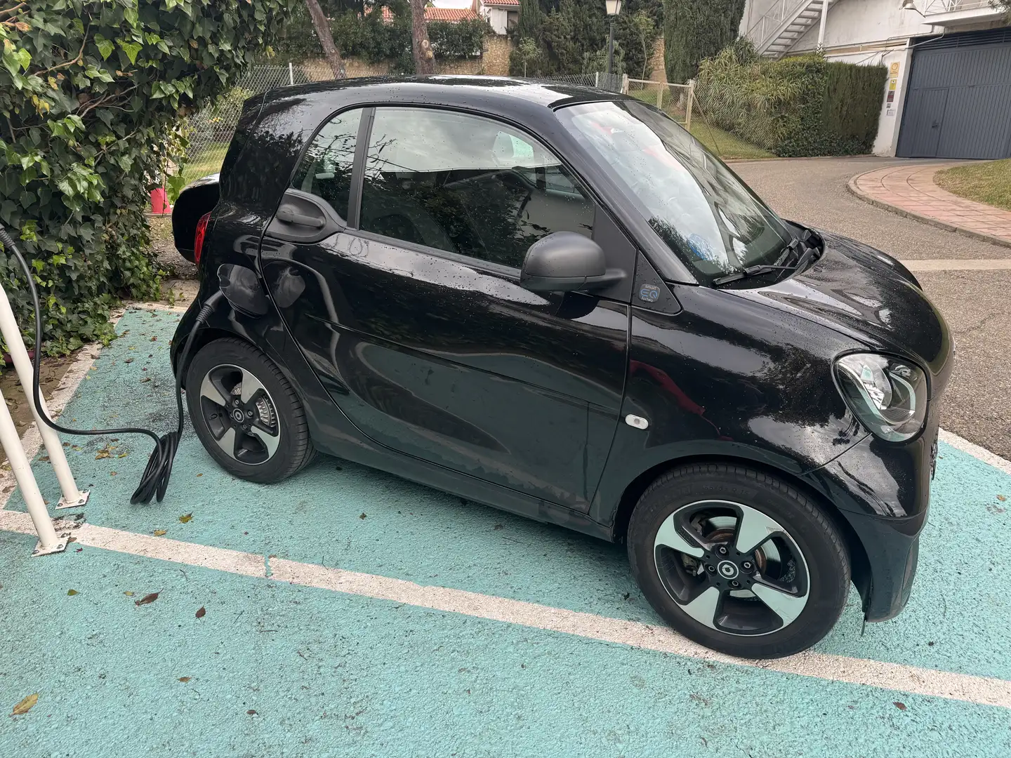 smart Sonstige EQ - 2