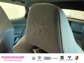 CUPRA Formentor 2.0 TSI 4Drive VZ PDCv+h ACC Navi AHK Pano Rückfah Grau - thumbnail 18