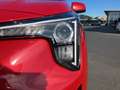 Kia Picanto TITAN 1.0 Navi, Tempomat, Rückfahr Rot - thumbnail 14
