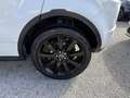 Land Rover Range Rover Evoque Range Rover Evoque I 2011 5p 2.2 sd4 Dynamic 190cv Bianco - thumbnail 7