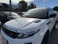 Land Rover Range Rover Evoque Range Rover Evoque I 2011 5p 2.2 sd4 Dynamic 190cv Bianco - thumbnail 5