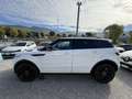 Land Rover Range Rover Evoque Range Rover Evoque I 2011 5p 2.2 sd4 Dynamic 190cv Bianco - thumbnail 3