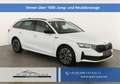 Skoda Octavia Combi 2.0 TDI 110 kW Sportline DSG Sportline, A... Weiß - thumbnail 1