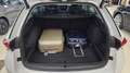 Skoda Octavia 1.5 TSI ACT Hybrid 115 CV DSG Wagon Style Bianco - thumbnail 14
