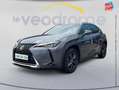 Lexus UX 250h 250h 4WD Luxe MY21 Sieges chauf/cuir Camera Gris - thumbnail 1