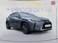 Lexus UX 250h 250h 4WD Luxe MY21 Sieges chauf/cuir Camera Gris - thumbnail 3