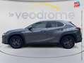 Lexus UX 250h 250h 4WD Luxe MY21 Sieges chauf/cuir Camera Grijs - thumbnail 9