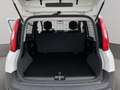 Fiat Panda VAN 1.2 69CV GPL 2Posti Bianco - thumbnail 15