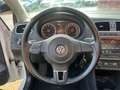 Volkswagen Polo 1.2 TSI Highline | Pano + Clima + Cruise + Carplay Blanco - thumbnail 17