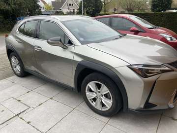 UX 250h 2.0i AWD Business Line