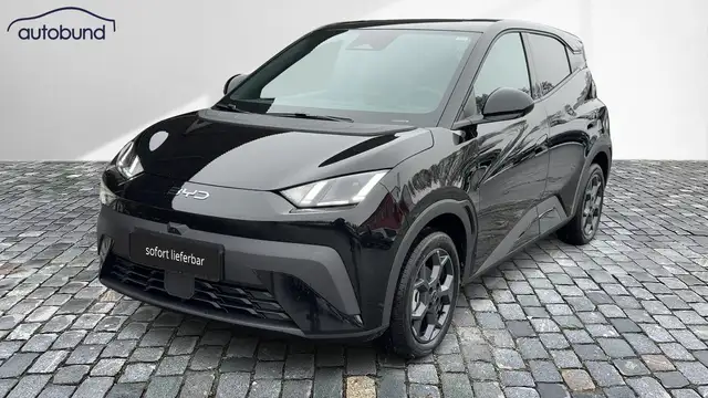 BYD Dolphin Surf