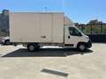 Citroen Jumper 165 CV CARROZADA Blanco - thumbnail 6