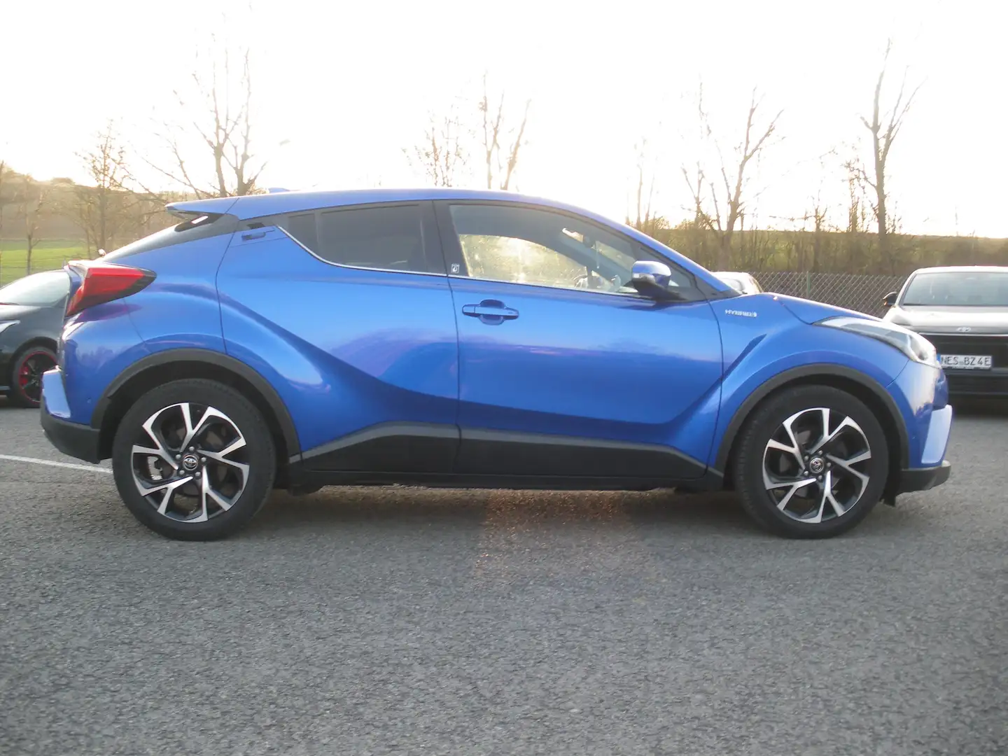 Toyota C-HR Hybrid Team Deutschland Blau - 2