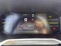 Dacia Spring Electric Extreme 65 NAVI FACELIFT Grün - thumbnail 11