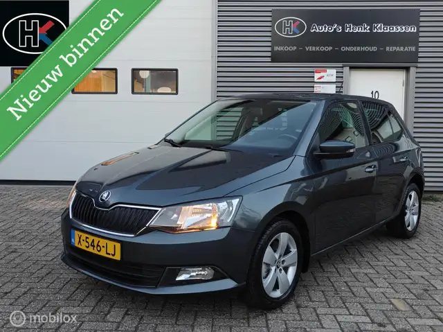 Skoda Fabia Hatchback 1.2TSi 110pk DSG-7 AUTOMAAT JOY LM PDC