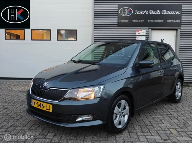 Skoda Fabia Hatchback 1.2TSi 110pk DSG-7 AUTOMAAT JOY LM PDC