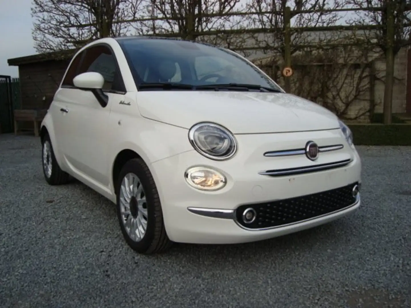 Fiat 500 1.0i MHEV Dolcevita Airco/ Apple & Andriod/ Cruise Wit - 1
