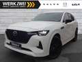 Mazda CX-60 2,5I PHEV Homura AWD PANO ACC HUD BLIS 20" Weiß - thumbnail 1