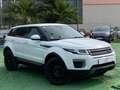 Land Rover Range Rover Evoque 2.0eD4 Pure 2WD 150 Wit - thumbnail 15