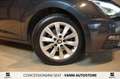 SEAT Leon 5 Porte 1.6 TDI 115 CV DSG ST Business Blanc - thumbnail 6