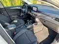 Ford Focus Wagon 1.0 EcoBoost Active ACC Clima Navi Wit - thumbnail 18