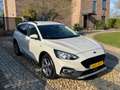 Ford Focus Wagon 1.0 EcoBoost Active ACC Clima Navi Wit - thumbnail 3