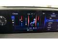 Lexus UX 300e Luxury Line 360 Grad Kamera Mark Levinson Grau - thumbnail 12
