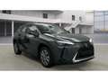 Lexus UX 300e Luxury Line 360 Grad Kamera Mark Levinson Grau - thumbnail 2