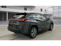 Lexus UX 300e Luxury Line 360 Grad Kamera Mark Levinson Grau - thumbnail 3