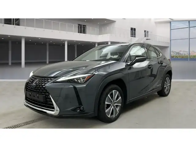 Lexus UX 300e Luxury Line 360 Grad Kamera Mark Levinson