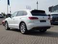 Volkswagen Touareg V6 TDI  Elegance 4Motion  /Allradlenkung Blanco - thumbnail 8