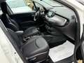 Fiat 500X New 1.3 M.JET 95 cv. SPORT (Nav) Bianco - thumbnail 14