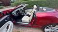 Jaguar XKR Cabriolet 4.2 – außergewöhnlich gepflegt Rot - thumbnail 4