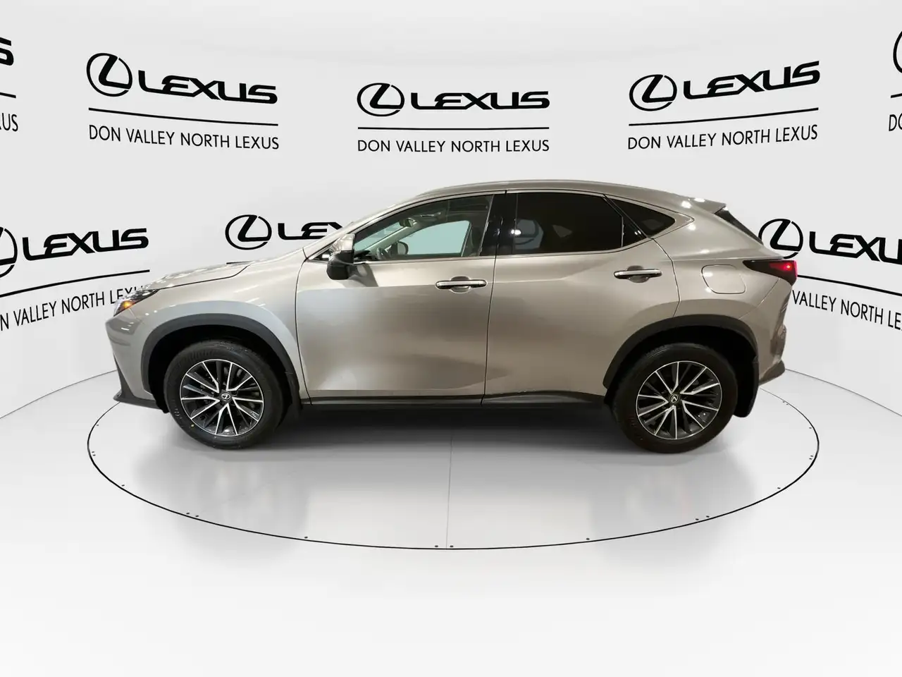 Lexus NX photo Lexus NX