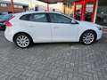 Volvo V40 1.6 T2 120PK Lichtmetalen velgen onderhoudshistory Blanc - thumbnail 15