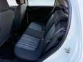 Fiat Punto Evo Punto III 2011 Evo 5p 1.2 Dynamic s Bianco - thumbnail 8