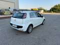 Fiat Punto Evo Punto III 2011 Evo 5p 1.2 Dynamic s Bianco - thumbnail 6