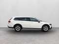 Volkswagen Passat Alltrack alltrack 2.0 tdi 4motion 190cv dsg - thumbnail 6