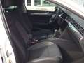 Volkswagen Passat Alltrack alltrack 2.0 tdi 4motion 190cv dsg - thumbnail 11