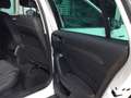 Volkswagen Passat Alltrack alltrack 2.0 tdi 4motion 190cv dsg - thumbnail 12