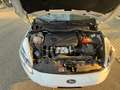 Ford Fiesta Fiesta VII 2017 5p 1.5  Business EURO 6 Blanco - thumbnail 14