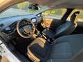 Ford Fiesta Fiesta VII 2017 5p 1.5  Business EURO 6 Blanco - thumbnail 6