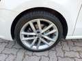 Volkswagen Polo 1.0 TSI 110 CV 5p. Highline BlueMotion Technology Blanc - thumbnail 9