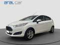 Ford Fiesta 1.5 TDCi 75CV 5 porte Business Bianco - thumbnail 1