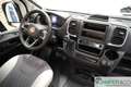 VanTourer 600 L – Automatik Grau - thumbnail 8