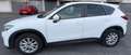 Mazda CX-5 CX-5+2.2+Evolve+2wd+150cv+6at Bianco - thumbnail 1