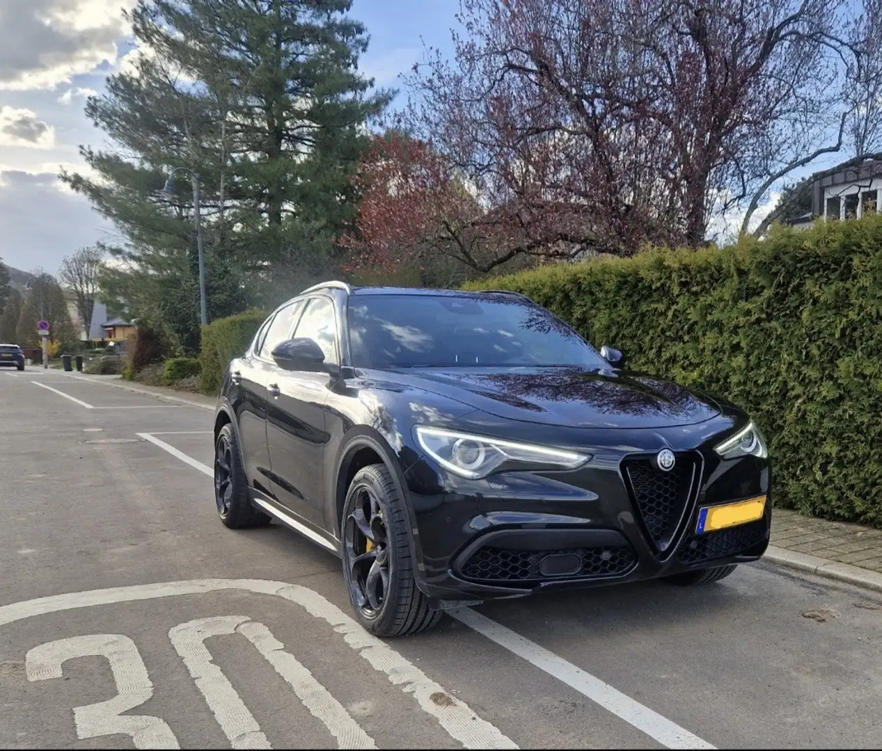 Alfa Romeo Stelvio 2.0 t Super Q4 280cv auto my19 - 1