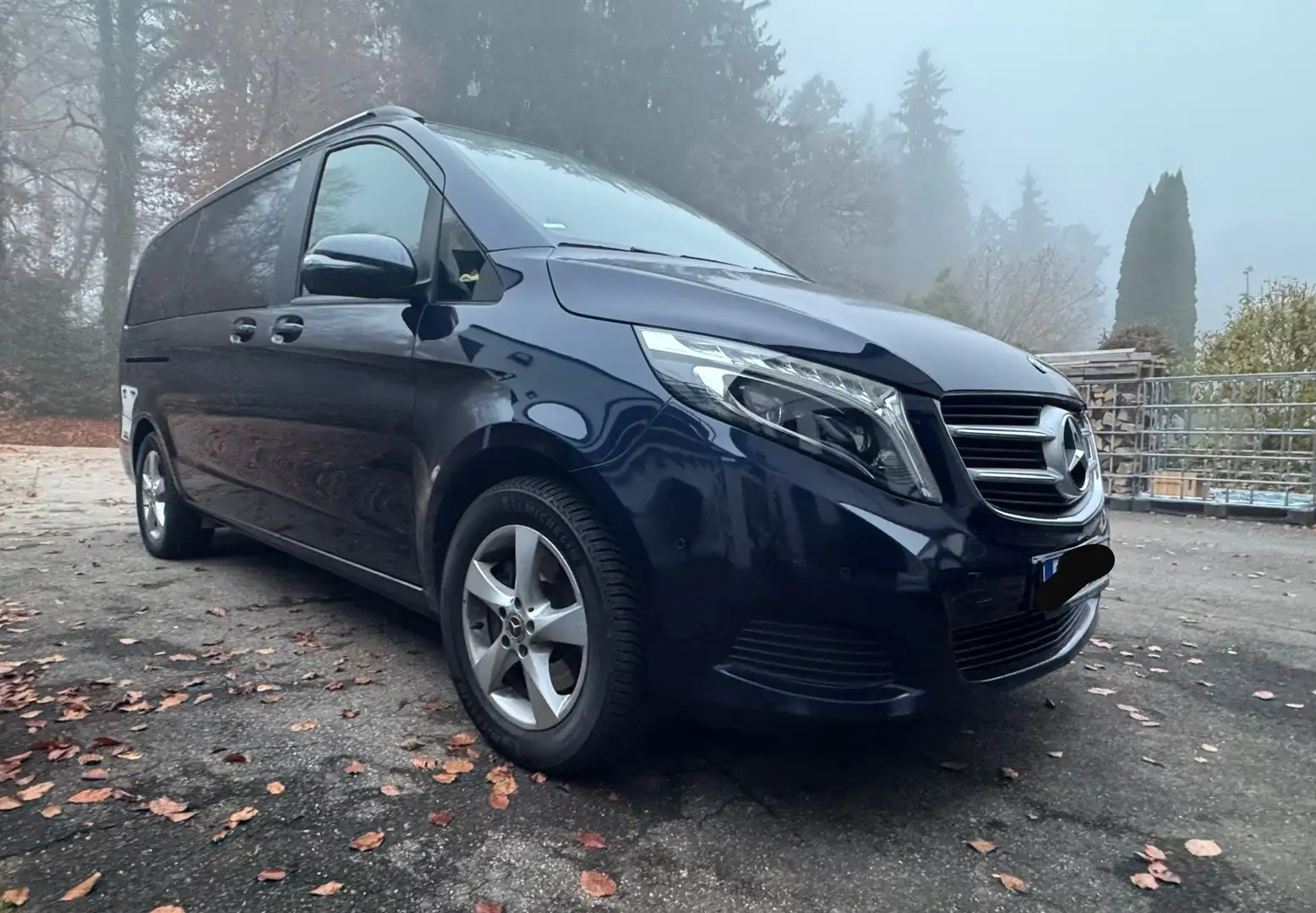 Mercedes-Benz V 250 (BlueTEC) d lang 7G-TRONIC Edition Blau - 1