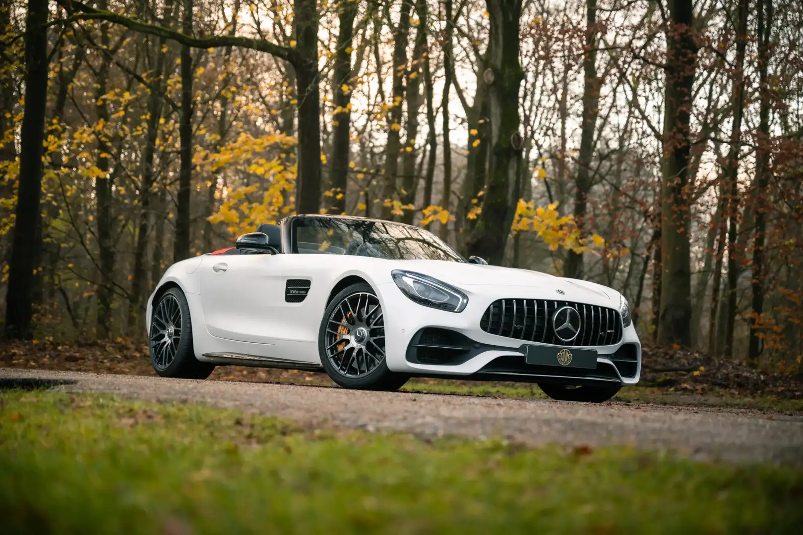 Mercedes-Benz AMG GT Roadster 50 Jahre Edition / 1/500 Wit - 1